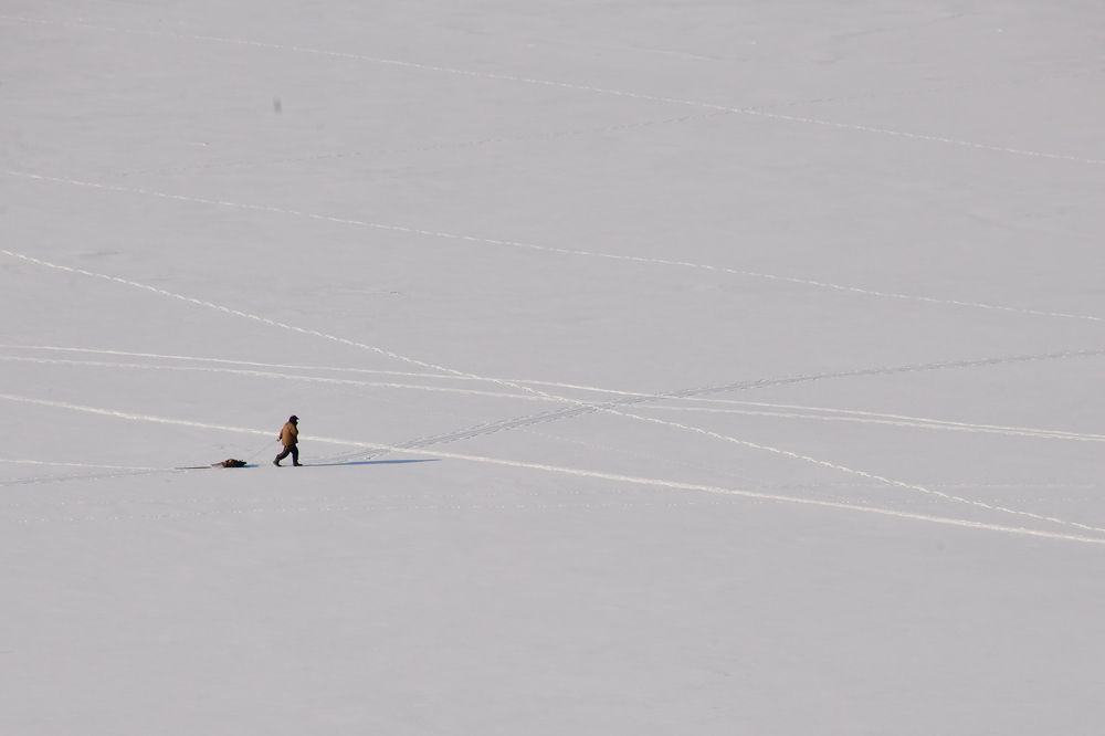 Photograph by Николай Абакумов