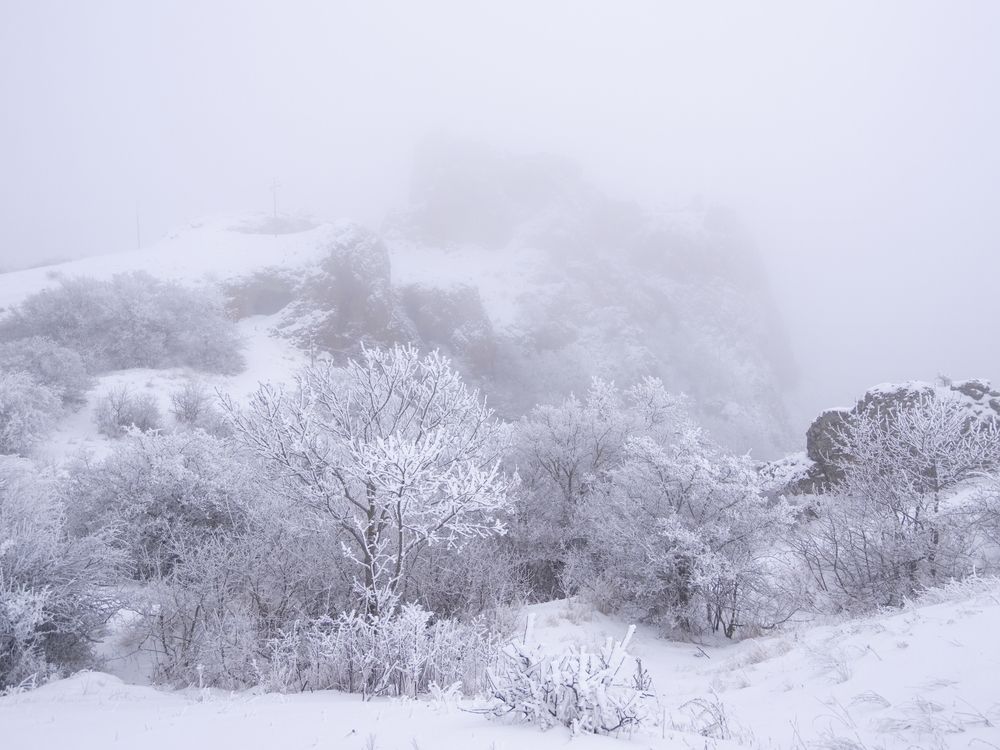 Photograph by Genadi Yakovlev