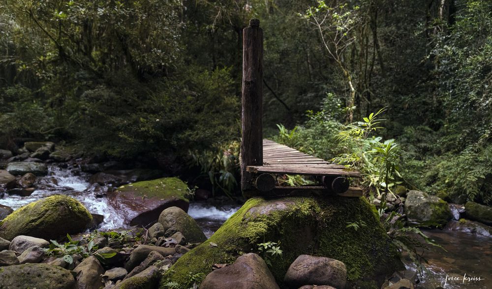 Photograph by Joice Kreiss