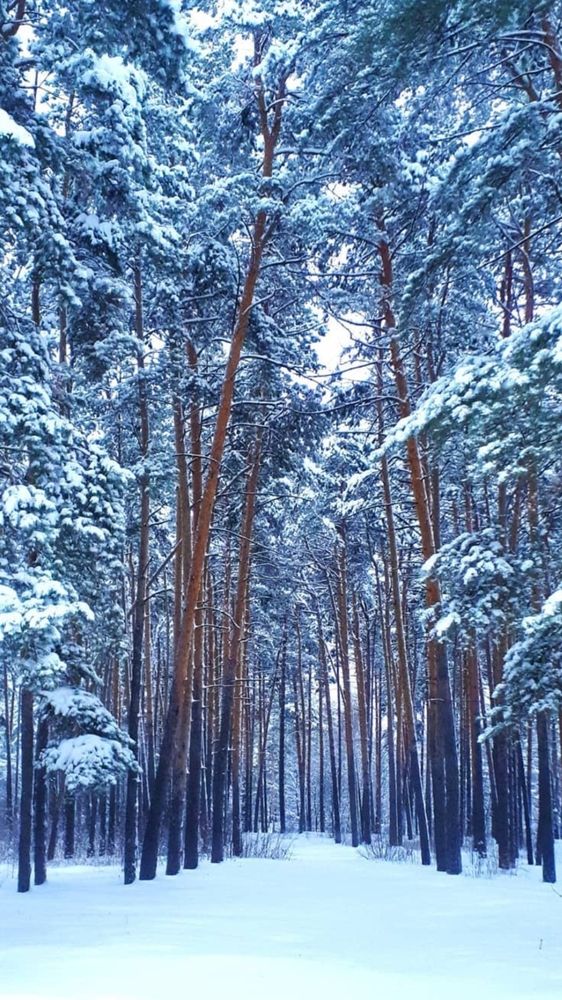 Photograph by Оксана Ходжаева