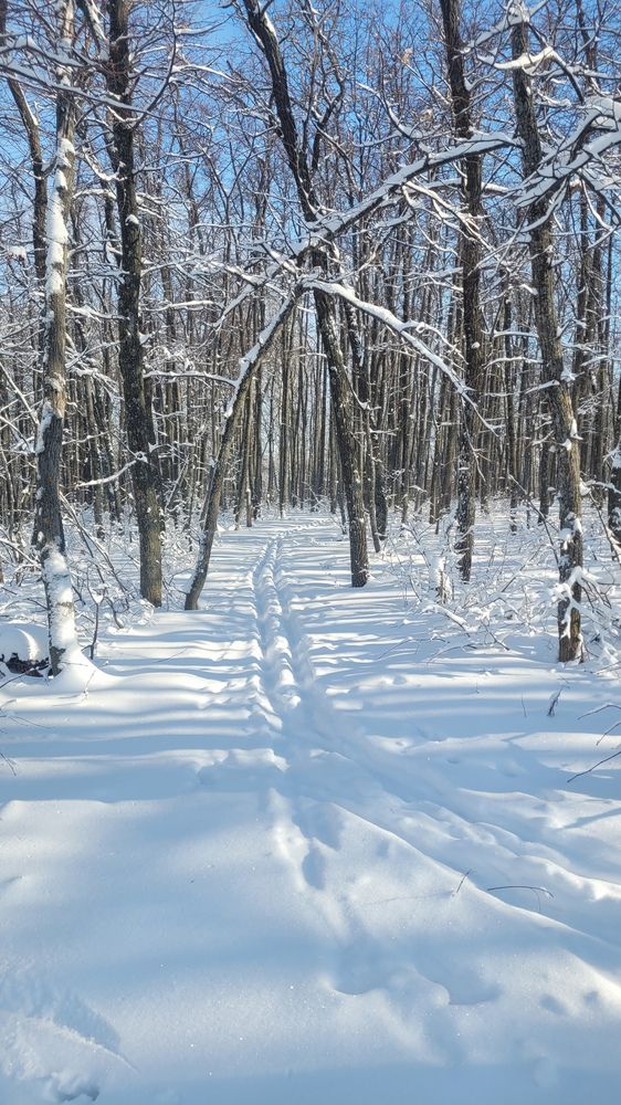 Photograph by Алла Никушкина