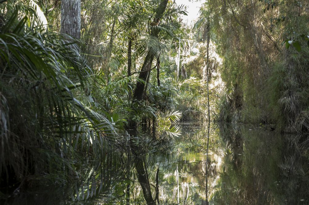 Photograph by Joice Kreiss