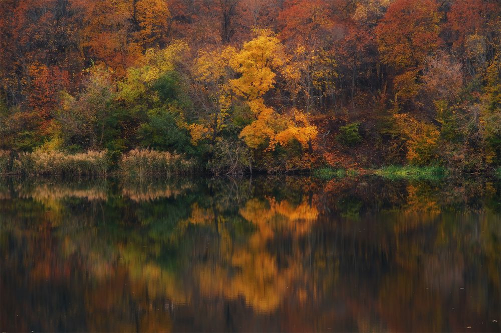 Photograph by Михаил Кудрявцев