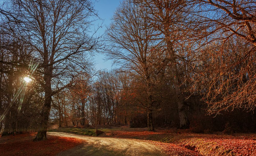 The Sun Shows The Path