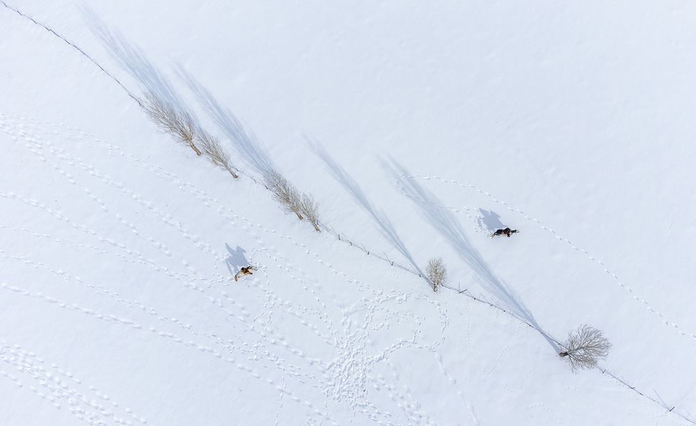 Фотография автора Esra Bürçün