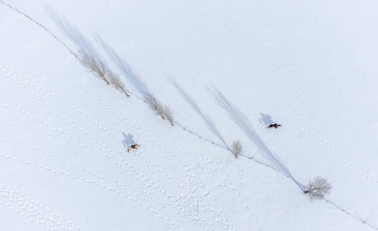 Фотография #11829537