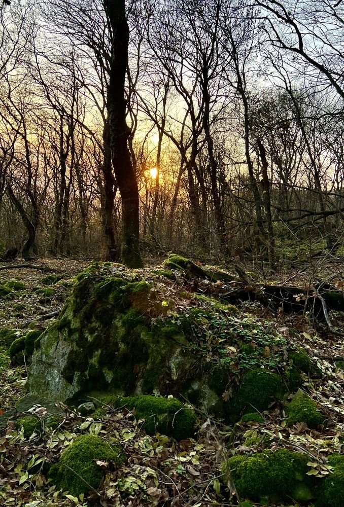 Photograph by Фарида