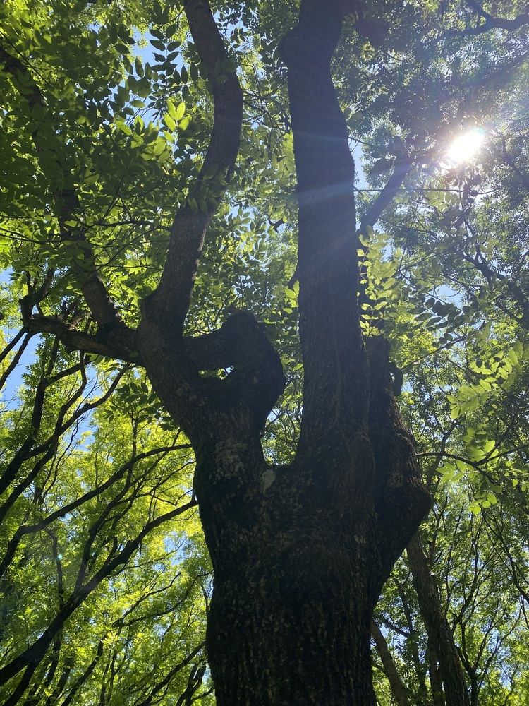 Photograph by Фарида