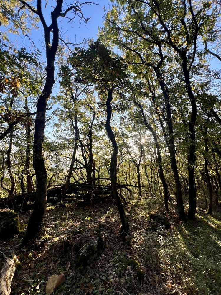 Photograph by Фарида