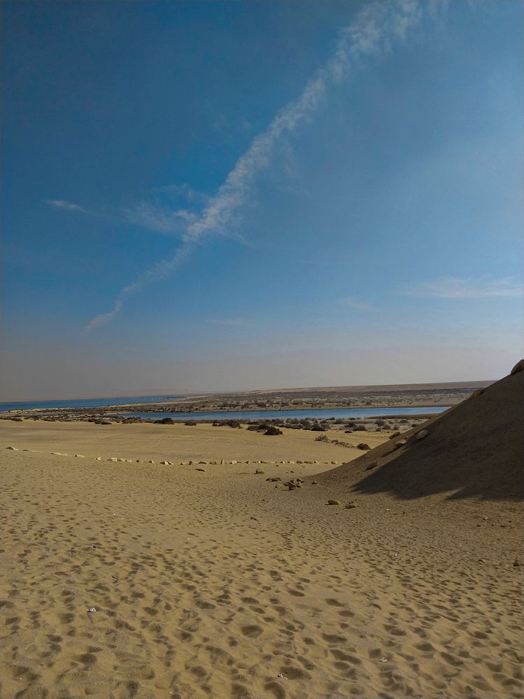 Фотография автора Mennatullah Dakhly