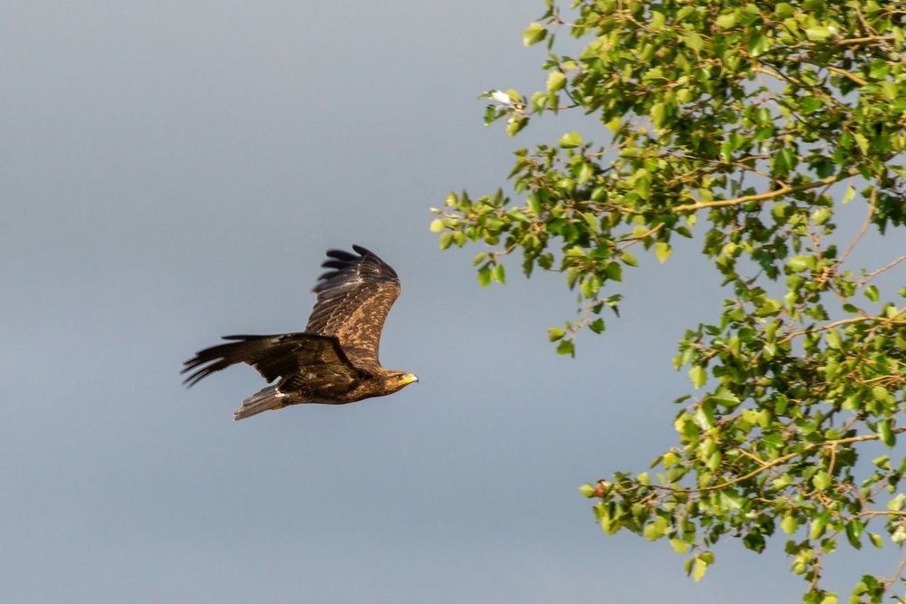 Photograph by Мамсур