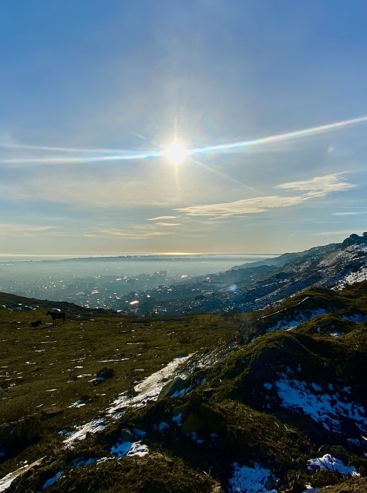 Photograph by Фарида