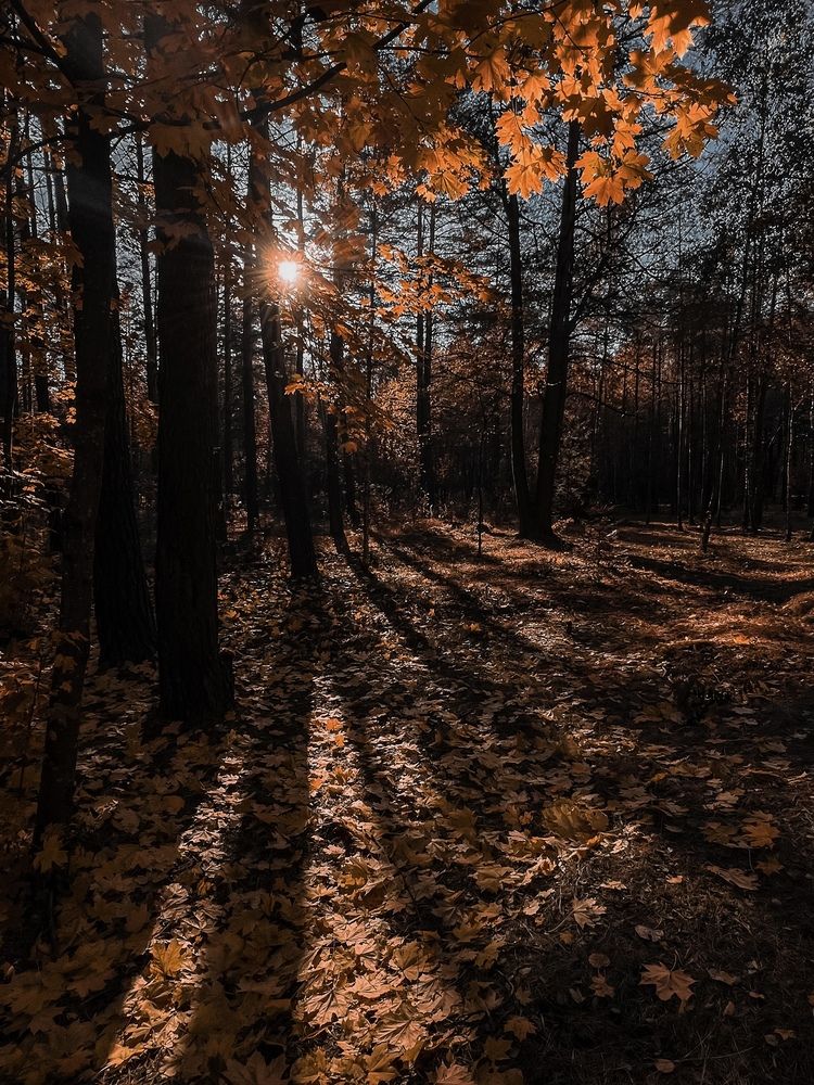 Photograph by Елена Башмакова