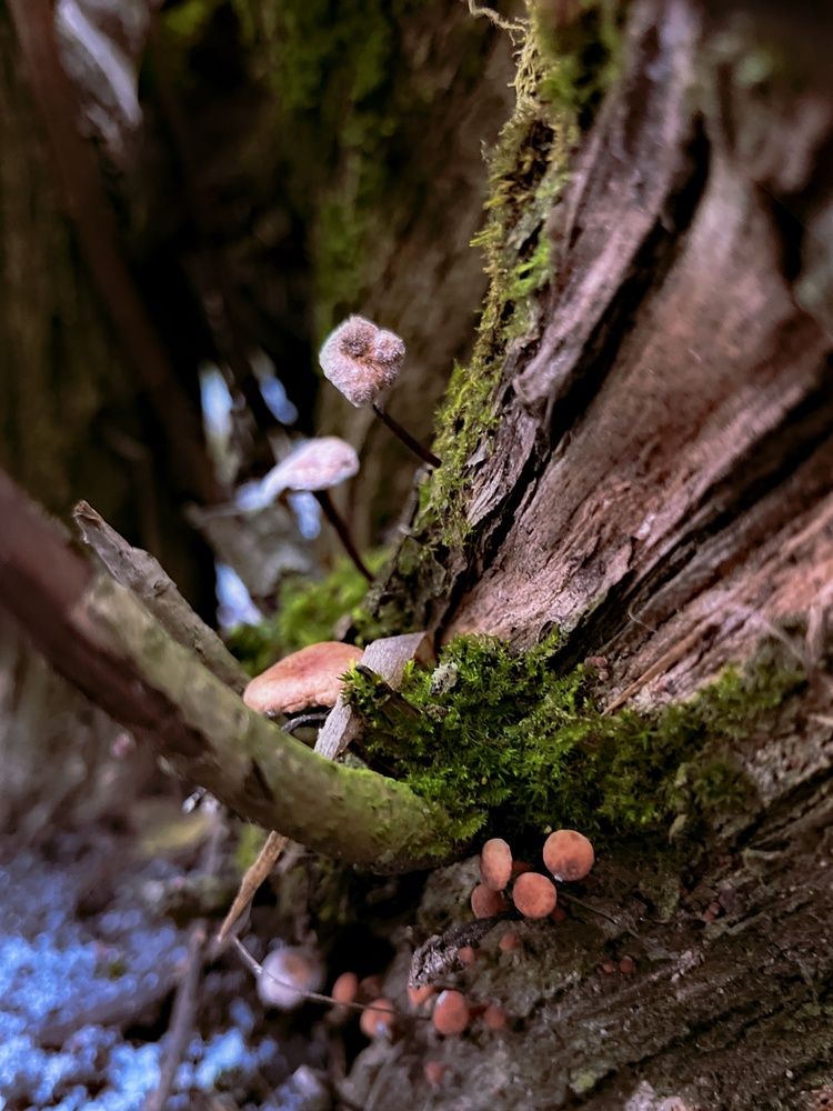 Photograph by Елена Спиридонова