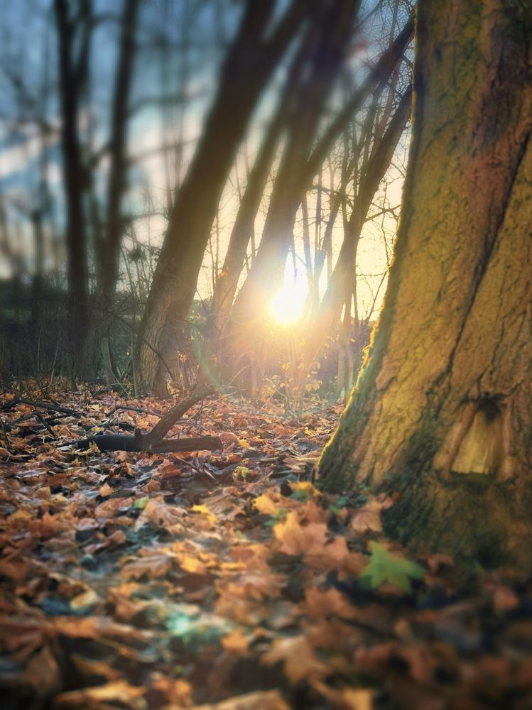 Photograph by Елена Спиридонова