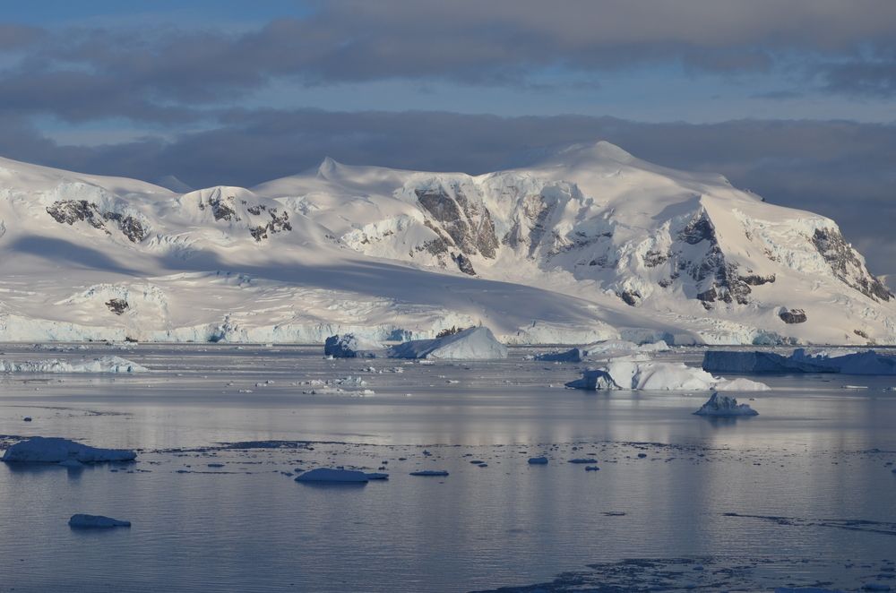 Photograph by Tamara Karelí Mori César