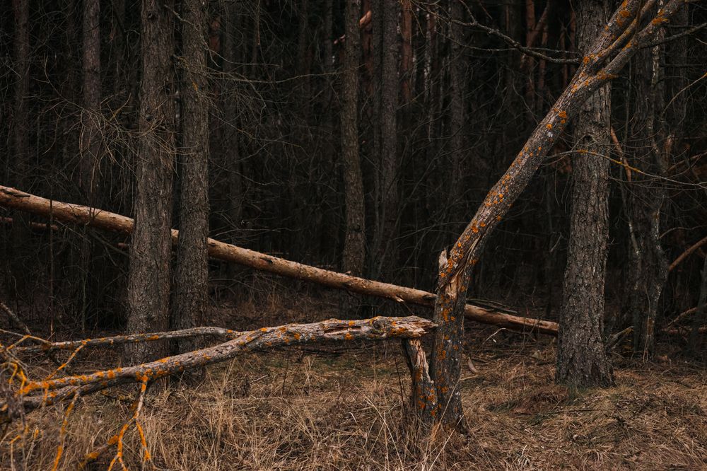 Photograph by Konstantin Morozov