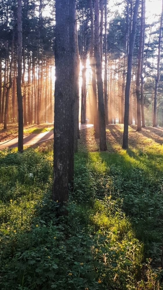 Photograph by Оксана Ходжаева