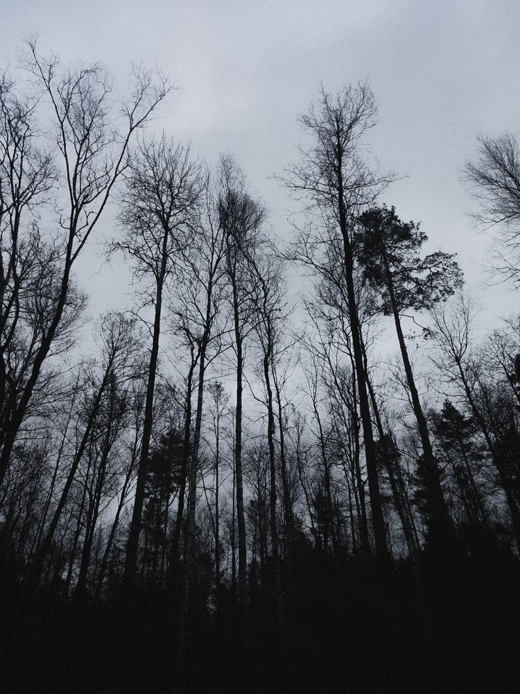 Фотография автора Алиса Исаева