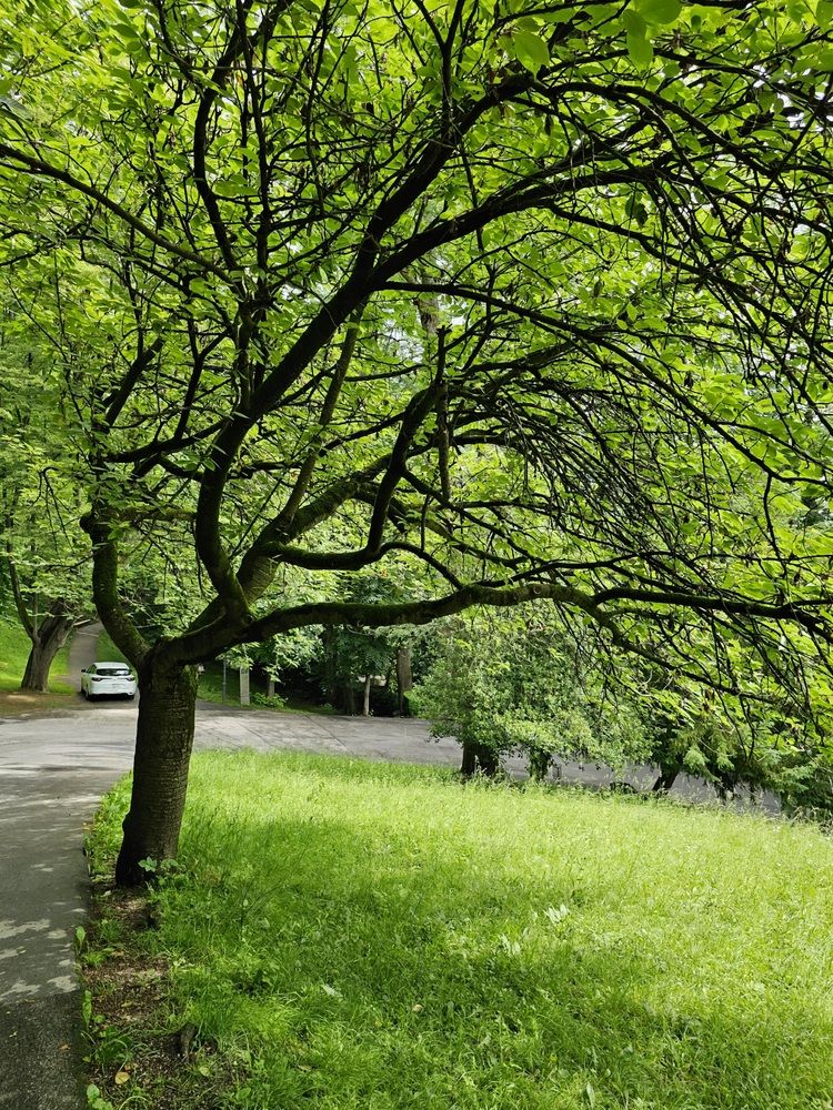 Photograph by Angelika Sokolova