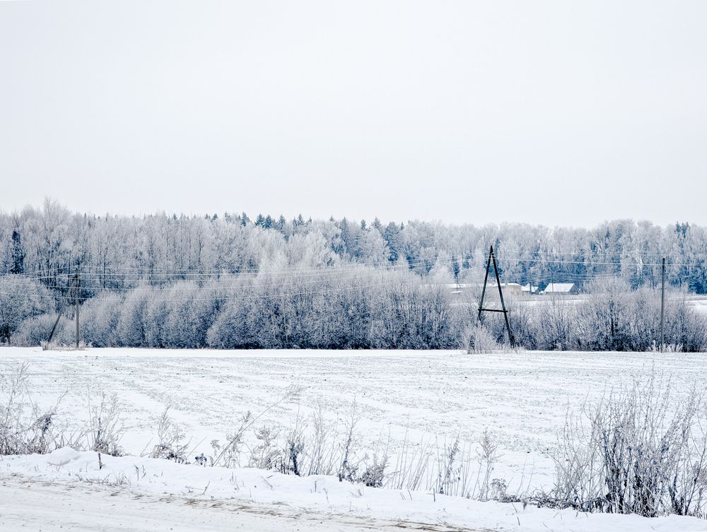 Photograph by Софья Титова