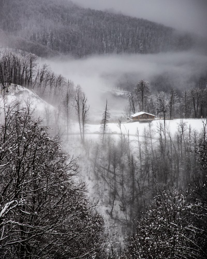 Photograph by Konstantin Morozov