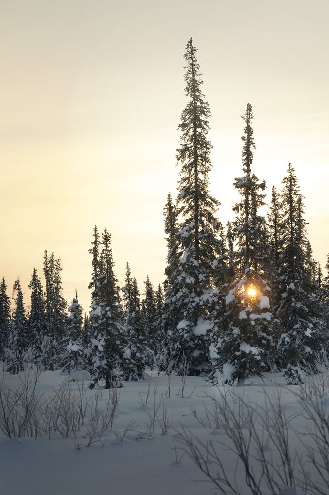 Photograph by Галина Простосердова