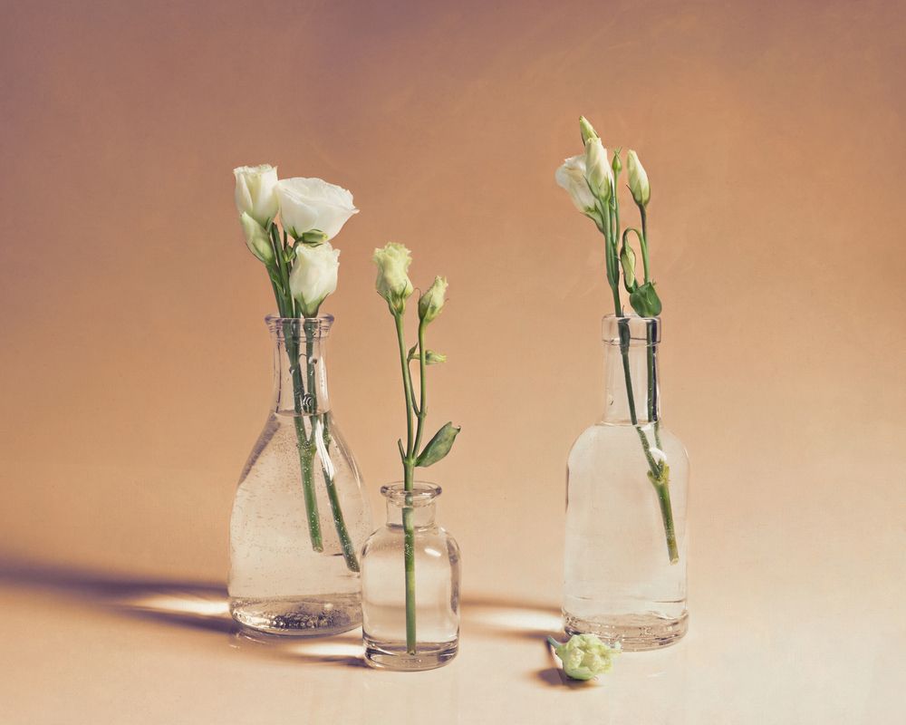 Фотография автора Наталья Василькова