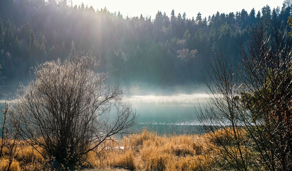 Photograph by Дмитрий Куркулин