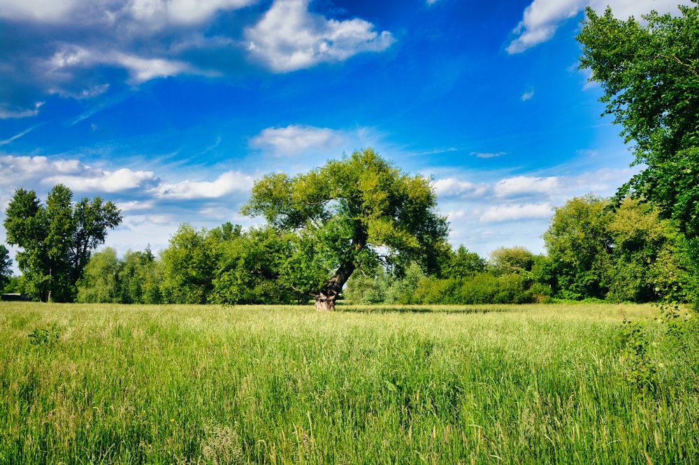 Photograph by Marlene Da Silva