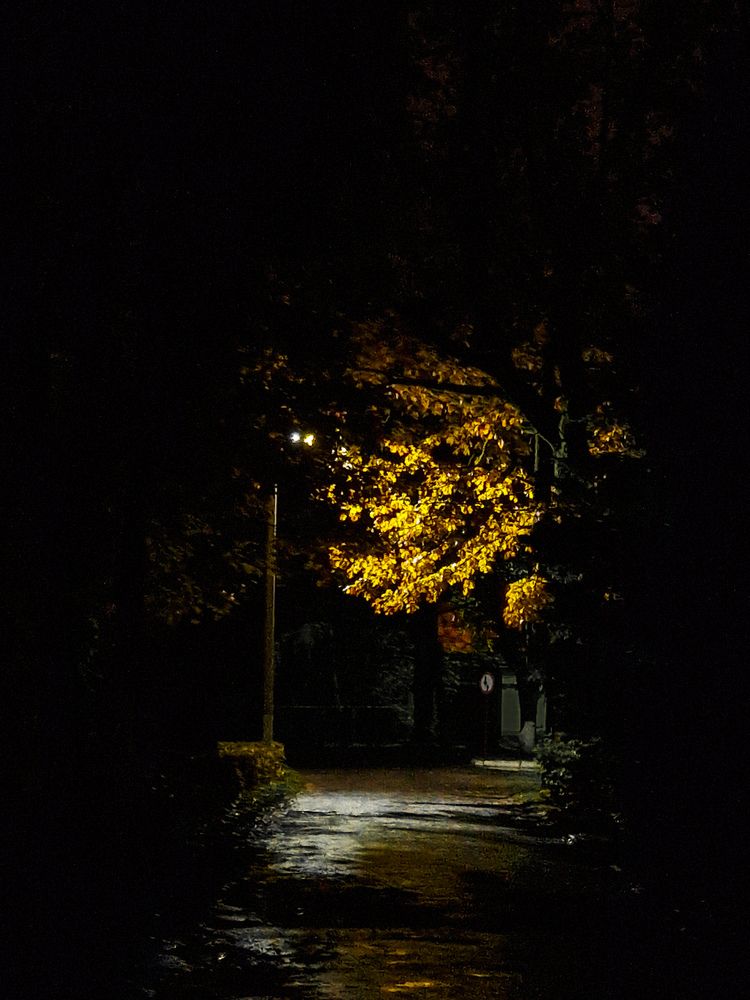 Photograph by Дарья Клименко