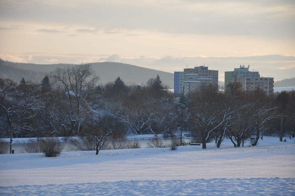 Photograph by Галина Лысых