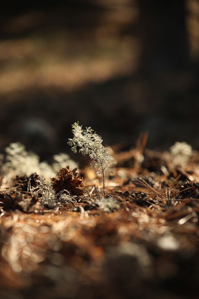 Photograph by Олеся Чернова