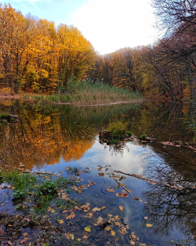 Photograph by Ирина Подосинникова