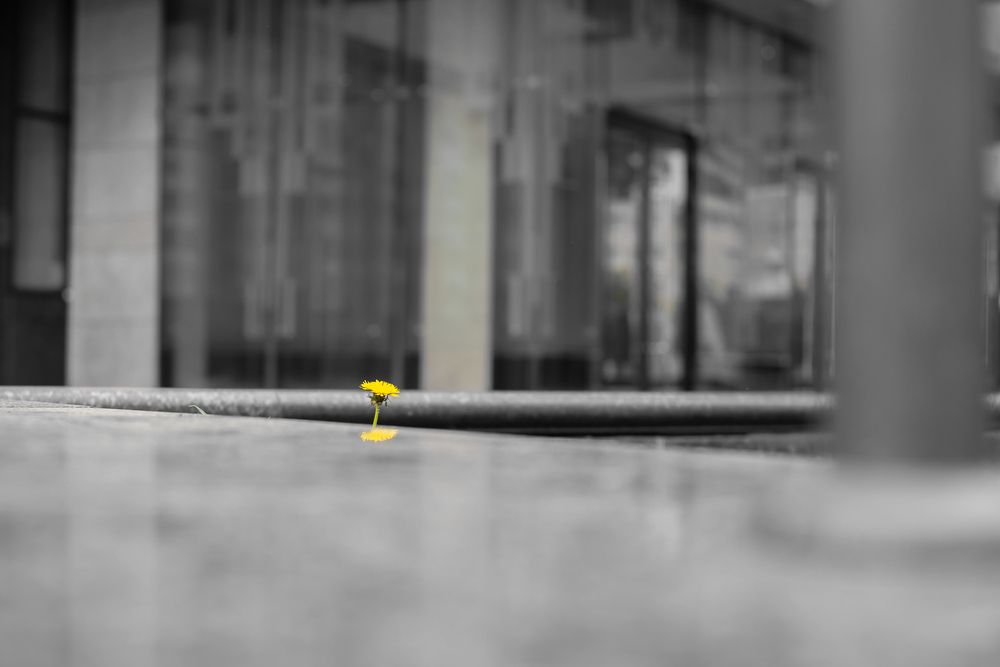 Photograph by Дана Трубиньш