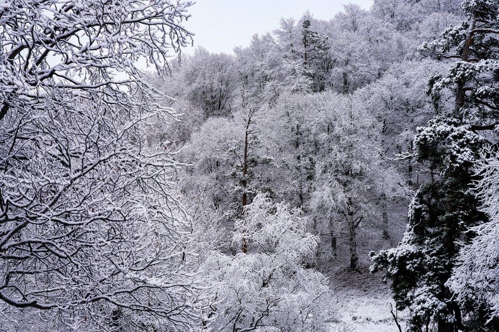 Photograph by Дмитрий Куркулин