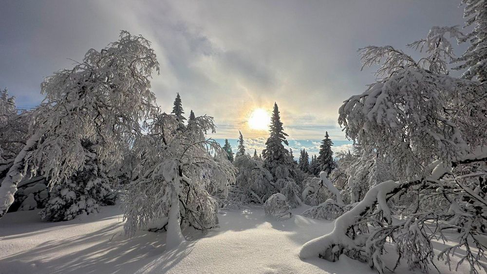 Photograph by Анна Грачёва
