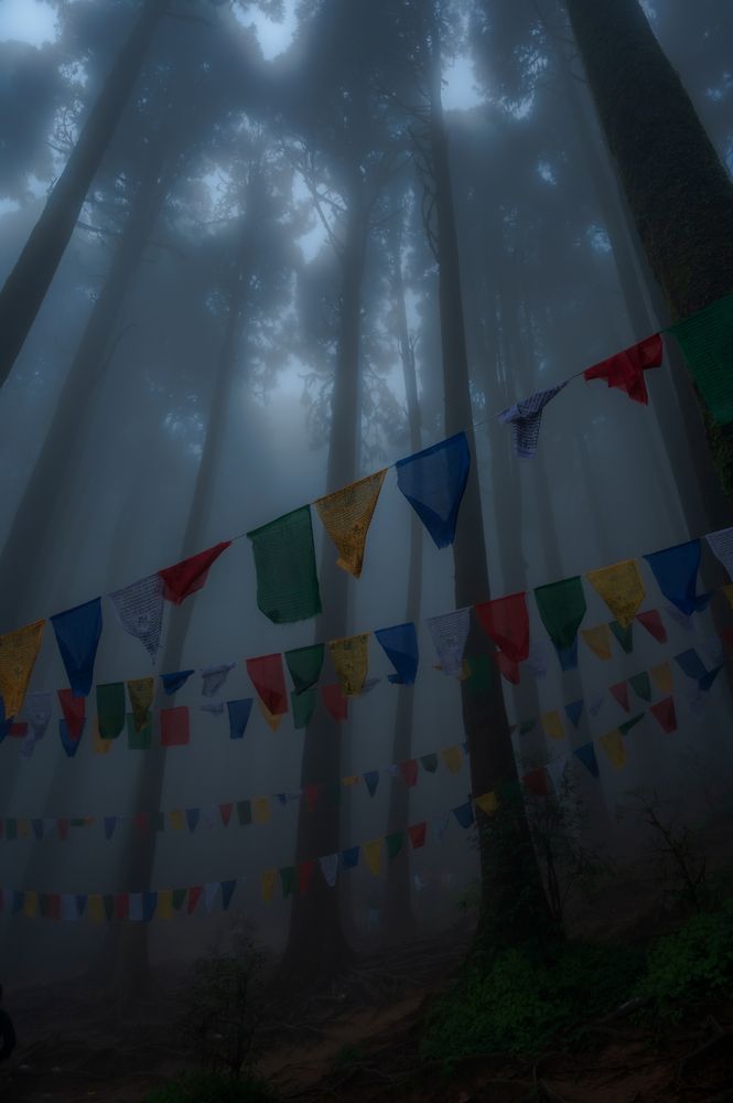 Photograph by ARANYA KAR