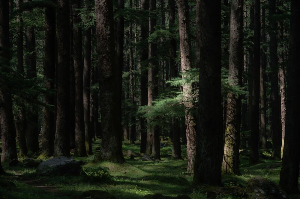 Photograph by ARANYA KAR