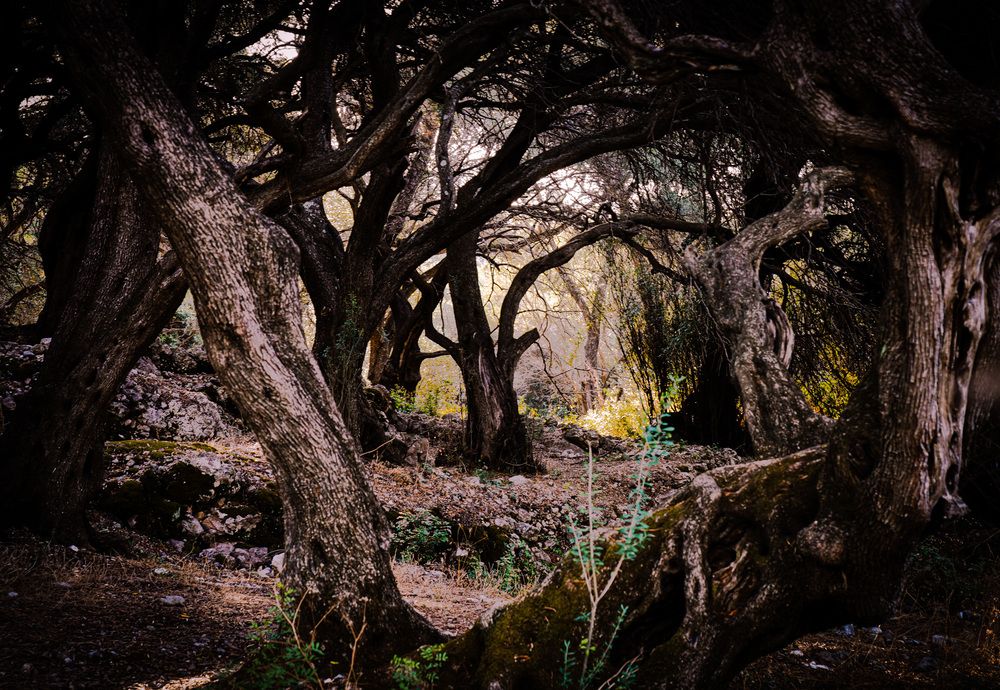 Photograph by Дмитрий Куркулин