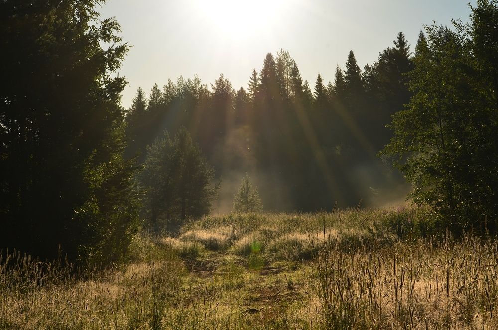 Photograph by Галина Катанова