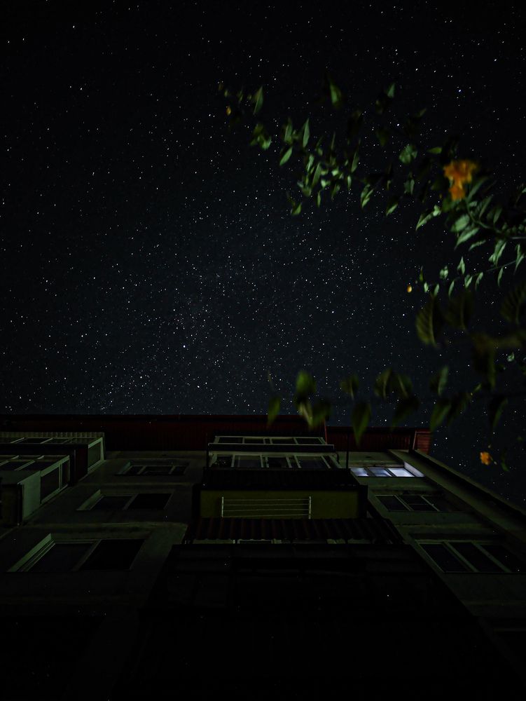 Фотография автора Алиса Исаева