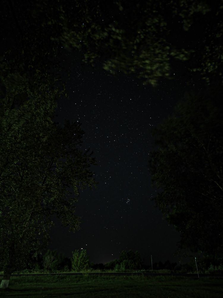 Фотография автора Алиса Исаева