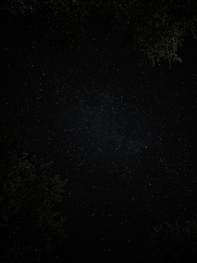 Фотография автора Алиса Исаева