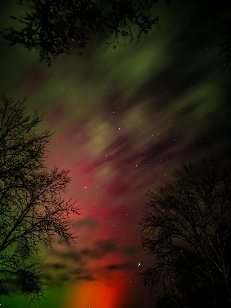 Фотография автора Алиса Исаева