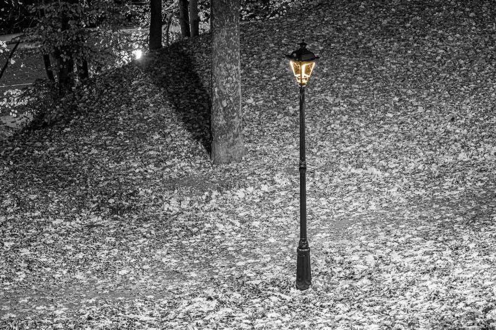 Photograph by Kirill Jakushev