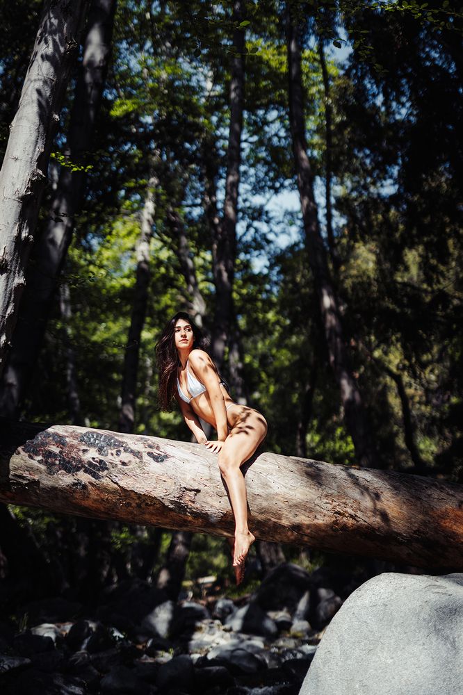 Photograph by Дмитрий Попов