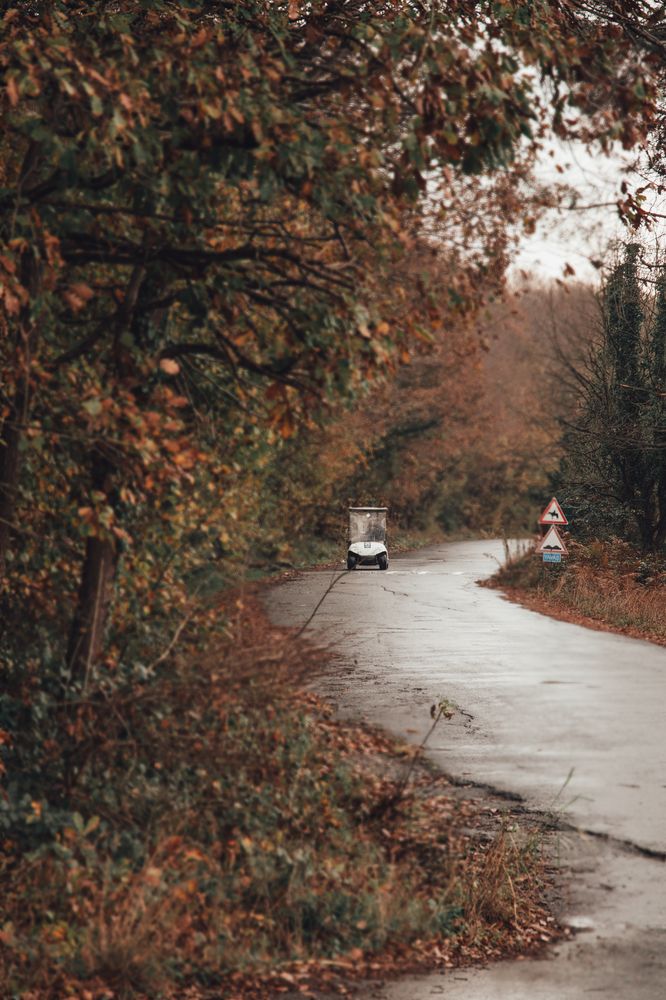 Фотография автора Sadaf Sadeghi