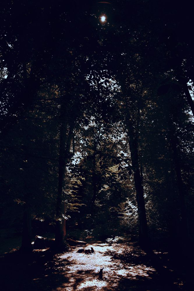 Фотография автора Sadaf Sadeghi