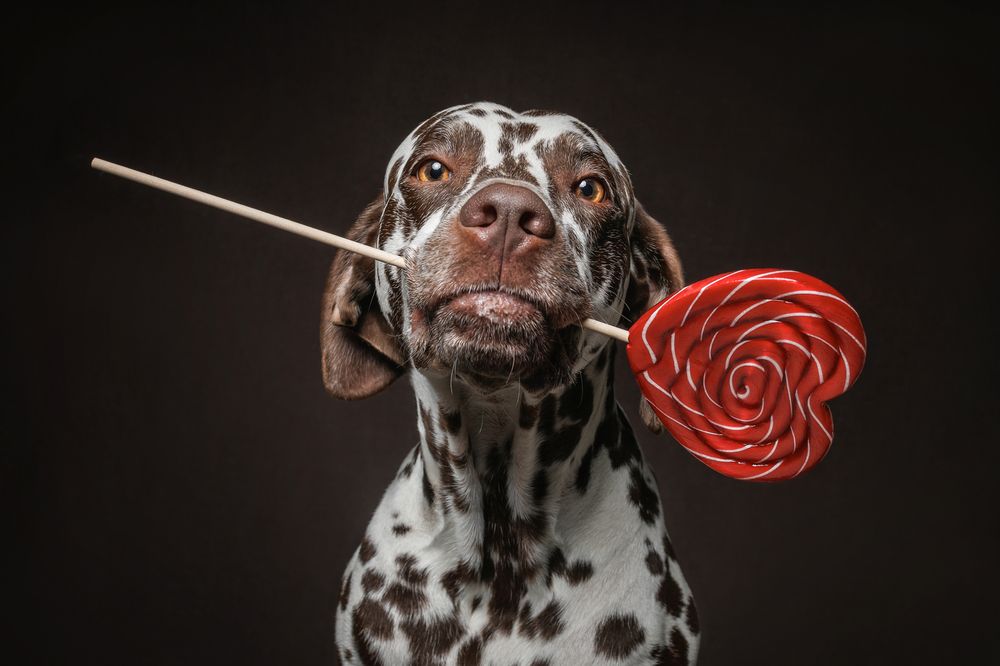 Photograph by Яна Нарбутович